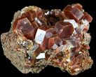 Large, Ruby Red, Vanadinite Crystals - Morocco #51277-1